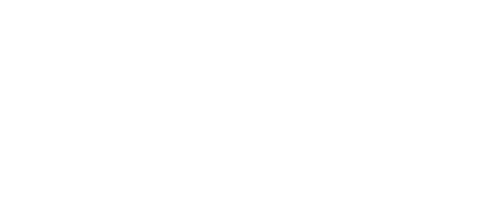 VEI Logo